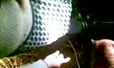 See this dark-haired whore sucking a fat cock on cam? She's an expert!