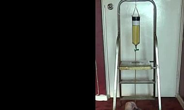 mark wright swallows his own piss, wishing it was yours filling his mouth?