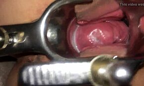 오늘 밤 그 딱딱한 자지 보지 안에 정액 뿜는 거 멈출 수 없어.