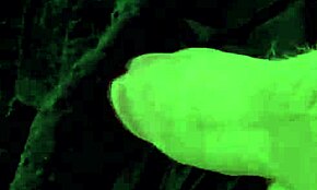 Ik ben een trans meisje dat van hard neuken en sperma spel houdt