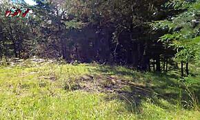 Erdei kirándulás fordul POV fujjásba a mostohatestvérrel