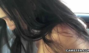 Аматьорска латина чукана на задната седалка за пари