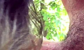 Bailey Wilder, wil je me buiten afzuigen als een echte slet?