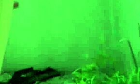 Euro Teen Isabella Christyn Betalt for at Kneppe Hårdt Nær Gym