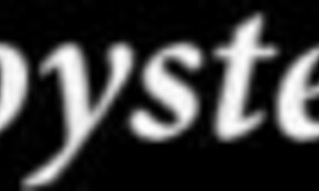 오늘 난 네 장난감이야, 내 타이트 엉덩이 써봐.