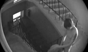 Yo, dieses Amateur-Paar wird fast beim Ficken draußen erwischt!