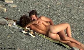 Bellezza riccia beccata su spiaggia rocciosa in azione