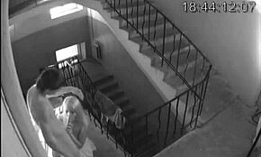 كام مخفي يمسك صديقة شقراء طويلة الساق تمتص صديقها في العام مع تنورة