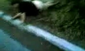 Podívej na tu tlustou opilou holku, jak leze venku po čtyřech