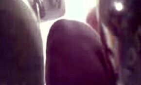 Divja seja ujeta na skriti kameri