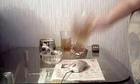 Wow, cicciotte ubriache non smettono di mostrare le loro grosse tette! Che spettacolo!