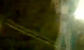 Gata russa dançando peladinha em parque público