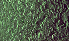 يا، تريد رؤية زوجة أب بالحمل تتعصب في الحمام؟