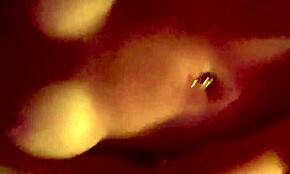 POV pieprzy żonę z dużymi cyckami mocno w parnej domowej saunie.