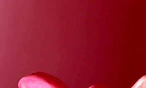 嘿，我爸妈这个周末出城了