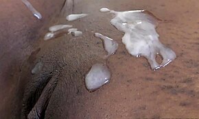 Jovenzinha chocolate 18+ leva gozada na buceta em vídeo amador