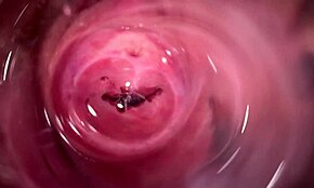 كاميرا داخل كسي الشابة الكريمي الجائع 18+ أثناء التدليك