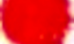 Daddy4k Dolly Diore viser sexet lingeri til gammel mand