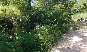 Legidősebb nagyapa valaha emberi világon kívül eső fasszal, ó bocs!