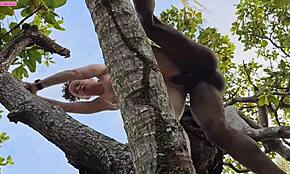 Min elsker borer min røv højt oppe i et højt træ