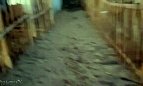 Pasangan pinay kena tangkap skandal kongkek creampie awam buatan sendiri