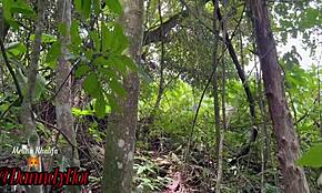 공원에서 보지 주고 싶어해서 내가 가져갔다