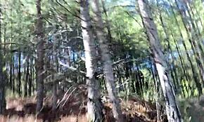 Mise à jour 13 de Clitlicker662 - IMG 1223 - 13 Oct 2024