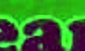 Ung 18+ skjønnhet får fitta slikket til orgasme på skrivebordet, tribbing med hæler og piercing