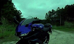 Vill Aksjon i Skogen med Latina Rødhåret