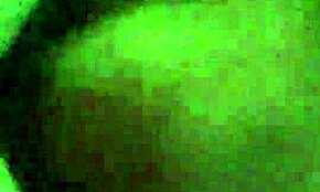 Malý chuj BBW babka s veľkými cicami robí amatérsky blowjob