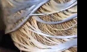 Η πεθερά μου τελειώνει με χείμαρρους όταν της βάζω το τεράστιο πουλί μου στο σπίτι της κοπέλας μου, MILF ποούτσα