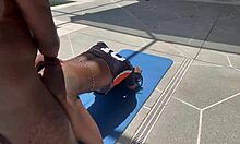 Ebony thot bent over gets doggystyle fucking on webcam