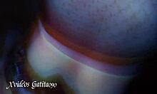 Want To Fill My Mouth And Pussy Compilation