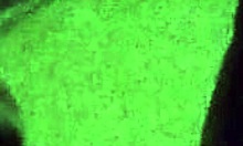 i'm learnin to give a good blowjob and havin fun this afternoon when no one's home