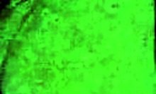 i'm learnin to give a good blowjob and havin fun this afternoon when no one's home