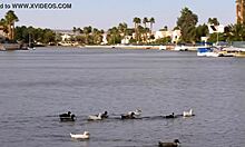 Couple Explores Ways To Spice Up Their Relationship