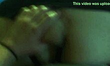 A friendly ride through the park.