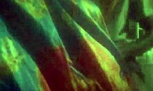 Watch this ebony beauty ride big black cock hard