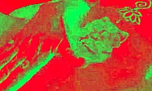 caroleta roots - invited two buddies for hot fucking and cumshots