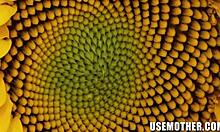 Freeuse Funny Bunny with Syren De Mer