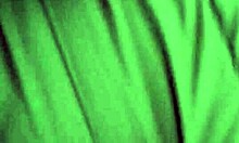 Hey, watch these amateurs getting bent over for intense doggystyle action on all fours