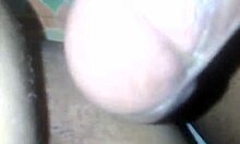 rola grossa bareback action