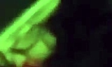 Eating Gfs Pussy Like A Champ