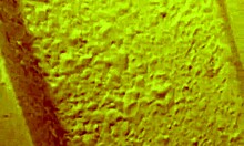 Hot Asian Girl Deepthroats Amazing Cock With Tongue