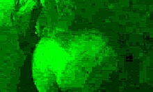 lunchtime blowjob with amateurs