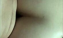 My first videos in the porn network sampler?