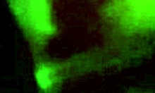 Neighbor Caught Fucking Hard in Bathroom on Hidden Cam