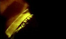 Blonde amateur Sugar begs for a blowjob - give it to her?