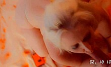 her fuckboy 2 with webcam handjob and cumshot