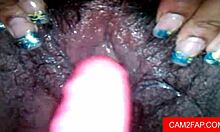 what’s happening on this webcam stream